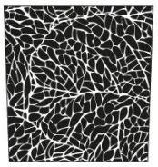 Aufbewahrungsglas mit Deckel S